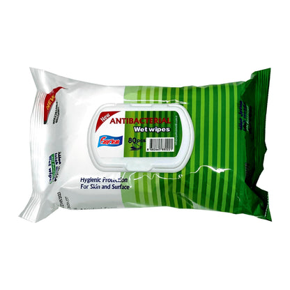 Easyclean Biodegradable Antibacterial Cleaning Wipes Kills 99.9% Bacteria & Viruses Thick, Moisture-Rich, Plastic-Free Scent Multi-Surface Use