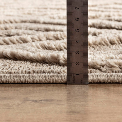 Area Rug Non-Slip Carpet For Living Room, Bedroom, Lounge, Dining or Kitchen, Soft, Durable & Non-Shedding Area Rug, Indoor Floor Carpet