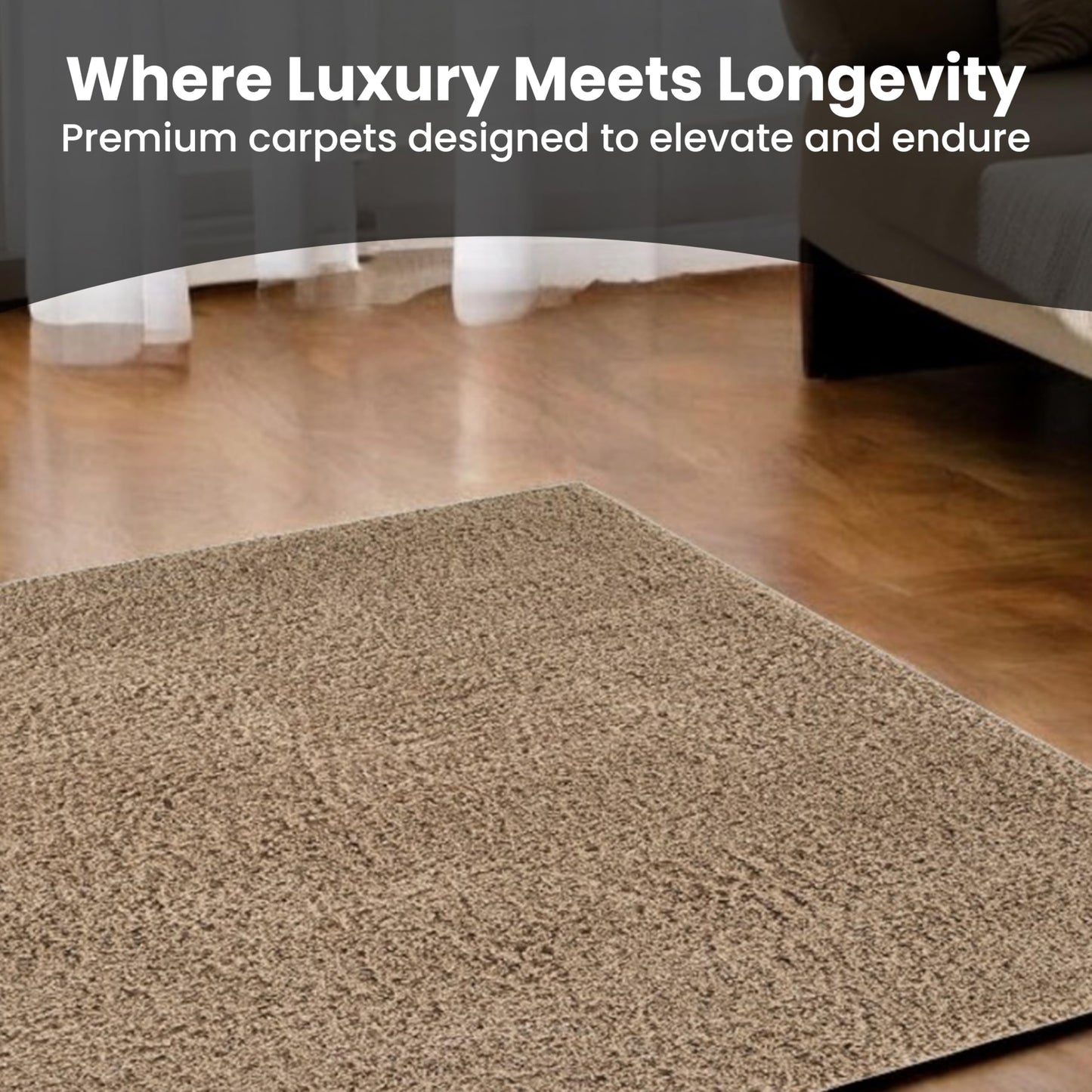 Area Rug Non-Slip Shaggy Soft and Elegant Carpet for Living Room Bedroom Lounge Dining Kitchen Soft Durable Non-Shedding Rug Indoor Floor Carpet