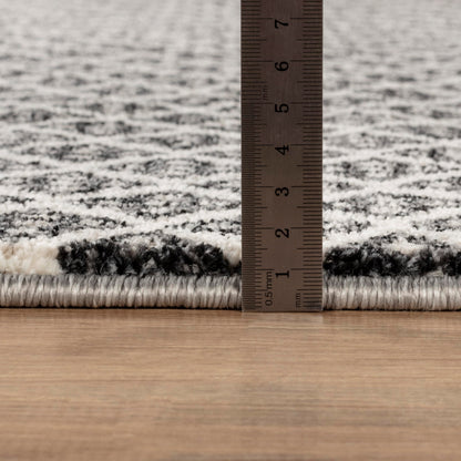 STL Washable Area Rug Non-Slip Soft Fluffy Shaggy And Elegant Rugs for Living Room Bedroom Lounge Dining or Kitchen Soft Durable & Non-Shedding Rug Indoor Floor Carpet