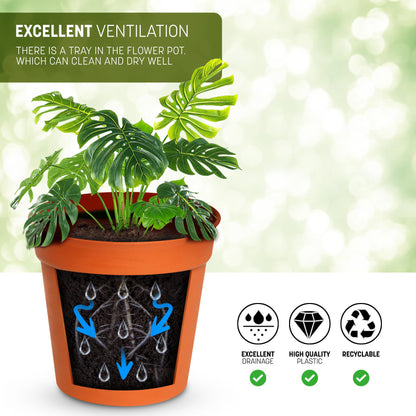 STL Cylindrical Shape Plastic Plant Pots Nursery Pots for Vegetables,Flowers,Herbs,Cuttings, Succulent,Flexible& Durable Pots for Transplanting Ideal for Home,Garden & Greenhouse