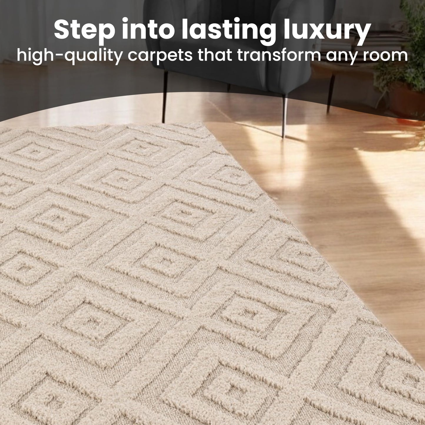 Area Rug Non-Slip Carpet For Living Room, Bedroom, Lounge, Dining or Kitchen, Soft, Durable & Non-Shedding Area Rug, Indoor Floor Carpet