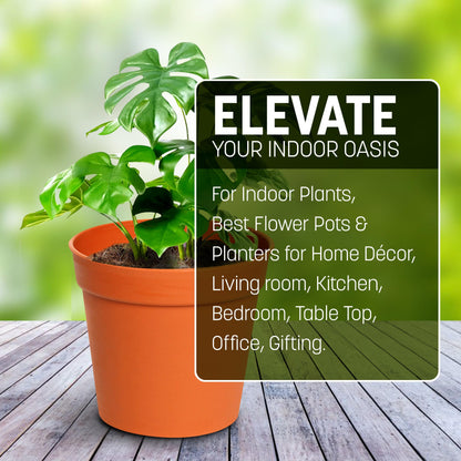 STL Cylindrical Shape Plastic Plant Pots Nursery Pots for Vegetables,Flowers,Herbs,Cuttings, Succulent,Flexible& Durable Pots for Transplanting Ideal for Home,Garden & Greenhouse