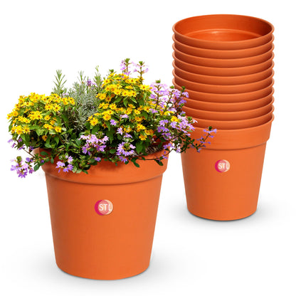 STL Cylindrical Shape Plastic Plant Pots Nursery Pots for Vegetables,Flowers,Herbs,Cuttings, Succulent,Flexible& Durable Pots for Transplanting Ideal for Home,Garden & Greenhouse