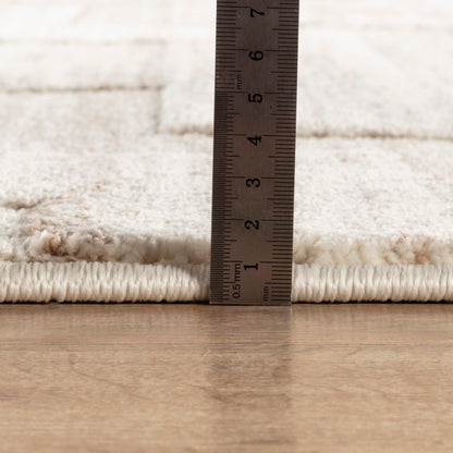 STL Washable Area Rug Non-Slip Soft Floor Carpet for Living Room Bedroom Lounge Dining or Kitchen Soft Durable Non-Shedding Area Rugs Indoor Floor Carpet Geometric Design