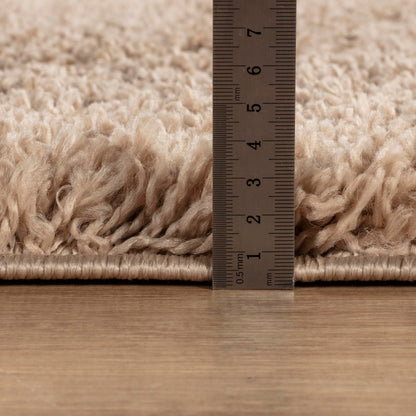 Area Rug Non-Slip Shaggy Soft and Elegant Carpet for Living Room Bedroom Lounge Dining Kitchen Soft Durable Non-Shedding Rug Indoor Floor Carpet