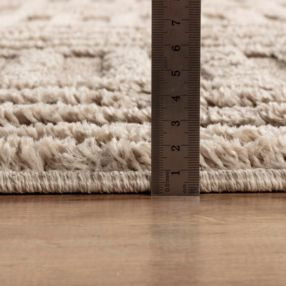 Area Rug Non-Slip Carpet For Living Room, Bedroom, Lounge, Dining or Kitchen, Soft, Durable & Non-Shedding Area Rug, Indoor Floor Carpet