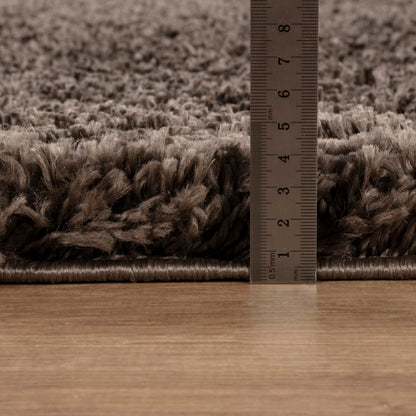 Area Rug Non-Slip Shaggy Soft and Elegant Carpet for Living Room Bedroom Lounge Dining Kitchen Soft Durable Non-Shedding Rug Indoor Floor Carpet