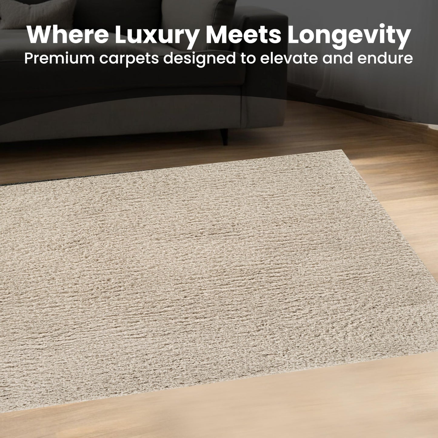 Area Rug Non-Slip Shaggy Soft and Elegant Carpet for Living Room Bedroom Lounge Dining Kitchen Soft Durable Non-Shedding Rug Indoor Floor Carpet