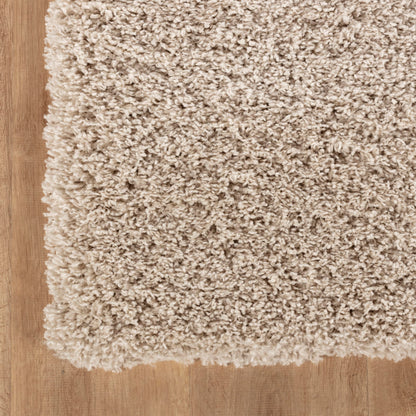 Area Rug Non-Slip Shaggy Soft and Elegant Carpet for Living Room Bedroom Lounge Dining Kitchen Soft Durable Non-Shedding Rug Indoor Floor Carpet