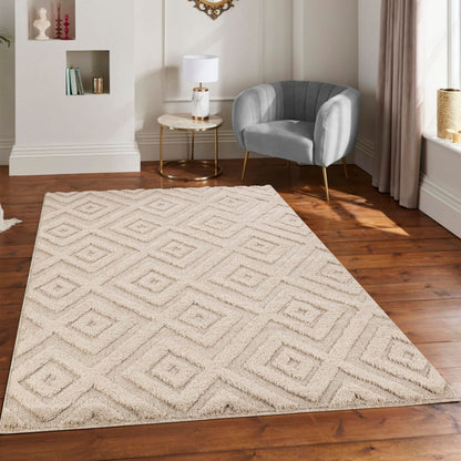 Area Rug Non-Slip Carpet For Living Room, Bedroom, Lounge, Dining or Kitchen, Soft, Durable & Non-Shedding Area Rug, Indoor Floor Carpet