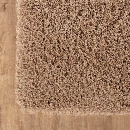 Area Rug Non-Slip Shaggy Soft and Elegant Carpet for Living Room Bedroom Lounge Dining Kitchen Soft Durable Non-Shedding Rug Indoor Floor Carpet