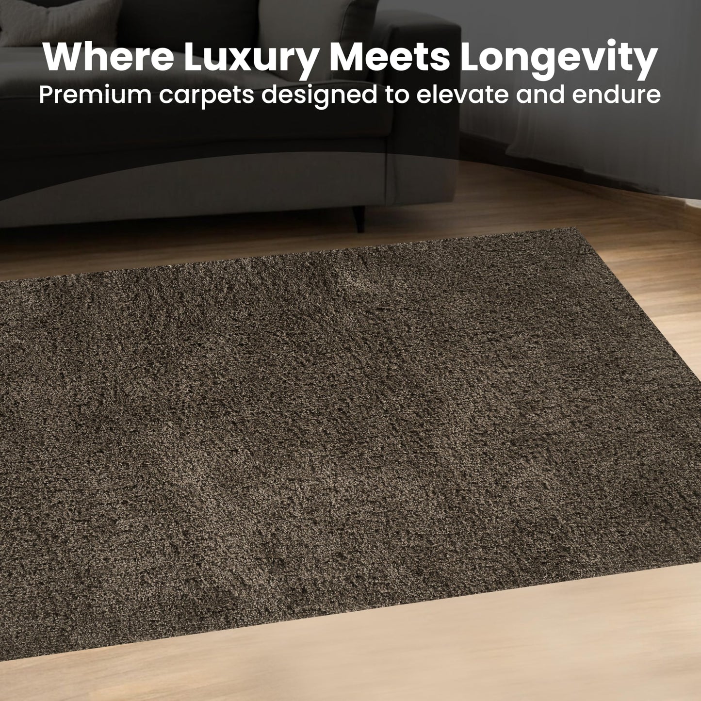 Area Rug Non-Slip Shaggy Soft and Elegant Carpet for Living Room Bedroom Lounge Dining Kitchen Soft Durable Non-Shedding Rug Indoor Floor Carpet