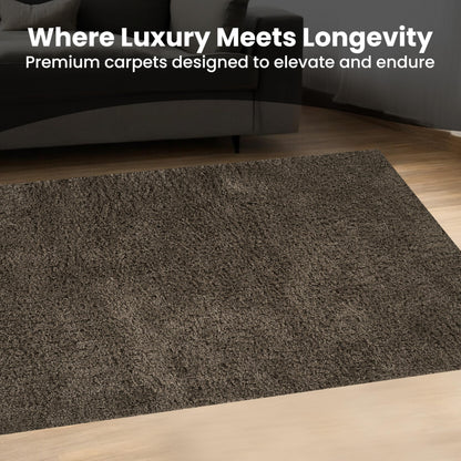 Area Rug Non-Slip Shaggy Soft and Elegant Carpet for Living Room Bedroom Lounge Dining Kitchen Soft Durable Non-Shedding Rug Indoor Floor Carpet