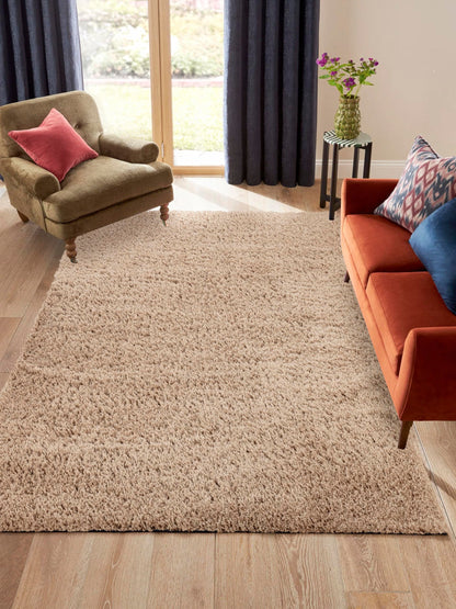 Area Rug Non-Slip Shaggy Soft and Elegant Carpet for Living Room Bedroom Lounge Dining Kitchen Soft Durable Non-Shedding Rug Indoor Floor Carpet