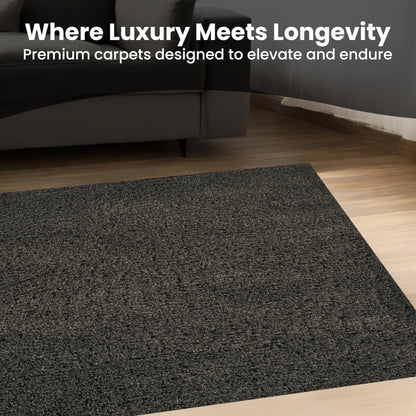 Area Rug Non-Slip Shaggy Soft and Elegant Carpet for Living Room Bedroom Lounge Dining Kitchen Soft Durable Non-Shedding Rug Indoor Floor Carpet