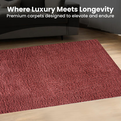 Area Rug Non-Slip Shaggy Soft and Elegant Carpet for Living Room Bedroom Lounge Dining Kitchen Soft Durable Non-Shedding Rug Indoor Floor Carpet